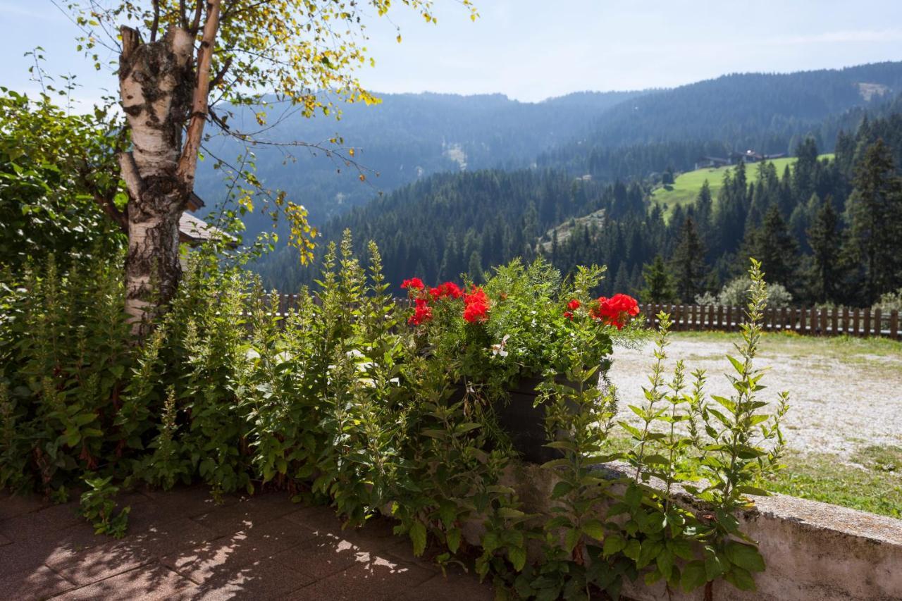 Alpenspitz Appartements - Garni - B&B Racines Exterior foto